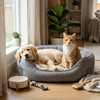 DpTech_Home